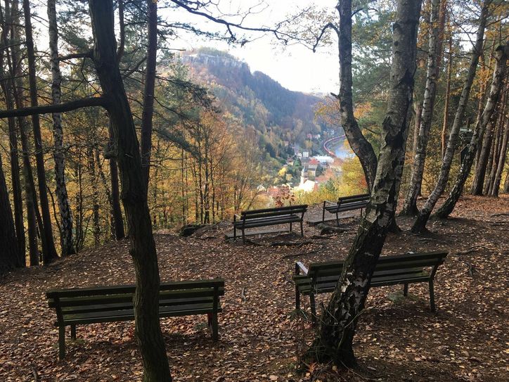 Die »Schöne Aussicht« im aktuellen Zustand. Foto: Sachsenforst