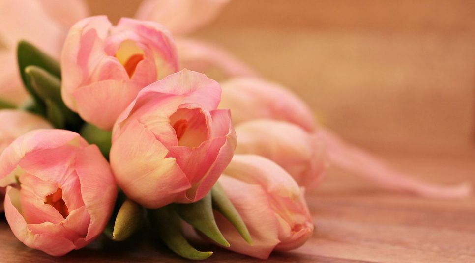 Foto: pexels.com