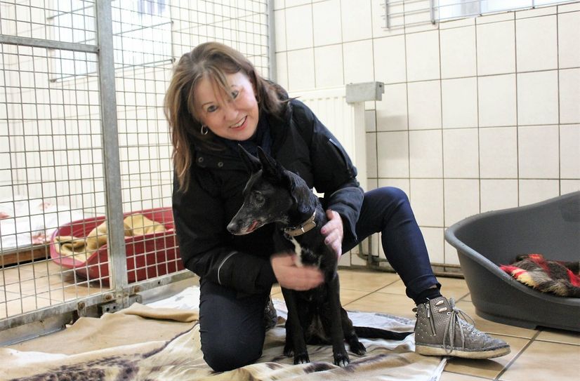 Regina Barthel-Marr mit einem ihrer Schützlinge im Tierheim Freital.