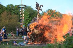 Das Wahrzeichen von Graupa, der Schwan, steigt aus den Flammen auf.