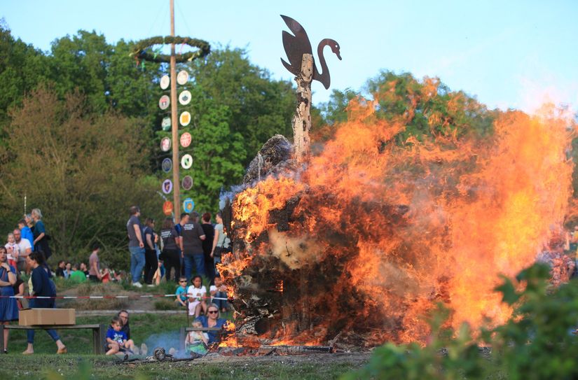 Das Wahrzeichen von Graupa, der Schwan, steigt aus den Flammen auf.
