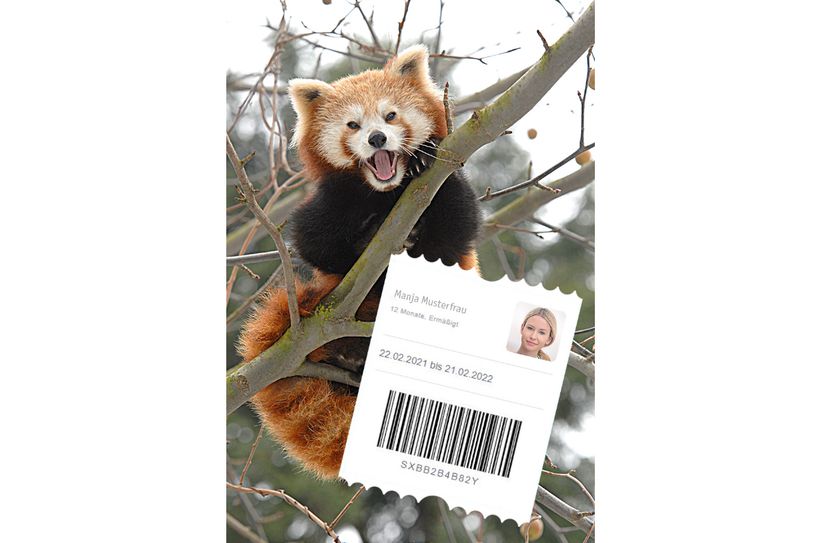 Die Jahreskarten gibt es in Zukunft nur noch digital. Sie können auf dem Smartphone gespeichert werden Auf Wunsch gibt’s aber auch eine Chipkarte. Foto: www.zoo-goerlitz.de, C. Hammer