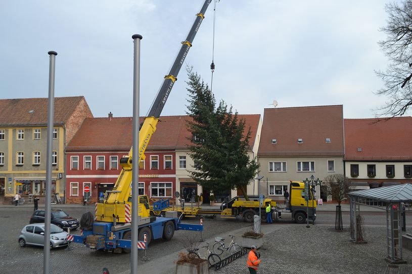 Die Douglasie von Olaf Bunsch wird auf dem Kirchplatz aufgestellt.... Foto: Mandy Kunze