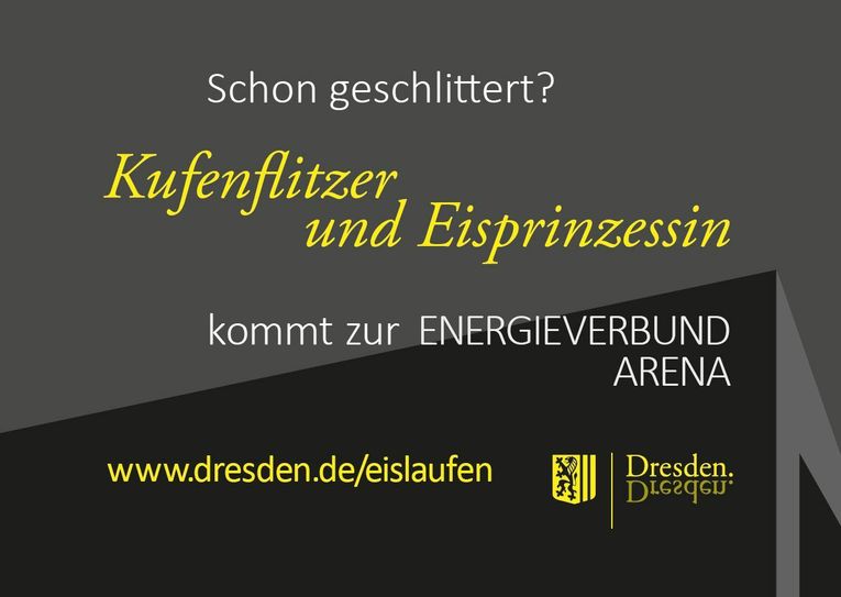 Mega-Light-Plakat "Eislaufen" / Foto: LHDD