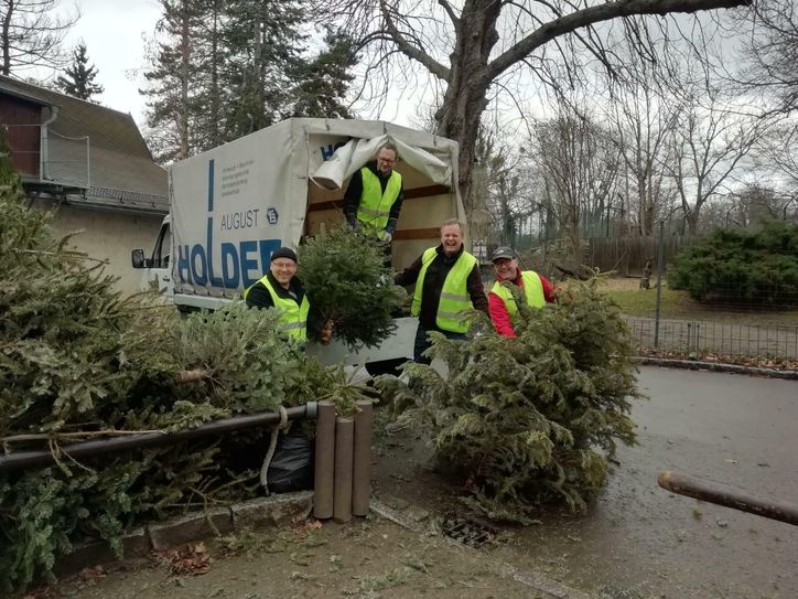 Am 8. Januar holen Teams zweier Dresdner Lions Clubs die abgeputzten Weihnachtsbäume gegen eine Spende von zehn Euro direkt an der Wohnungstür ab. Foto (2020): Lions Club