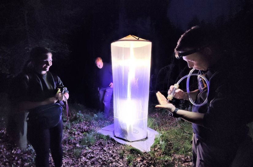 Für die Erfassung der nachtaktiven Käfer stellten die Spezialisten spezielle Lichtquellen mit unterschiedlichen Lichtspektren auf, die sie aufgrund der hohen runden Form liebevoll »Leuchttürme« nennen.