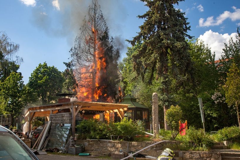 Auch ein großer Nadelbaum wurde bei dem Brand in Mitleidenschaft gezogen.