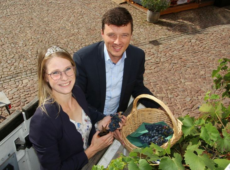 Vor dem Start in ein neues Weinjahr verbrachte Weinprinzessin Ann-Kathrin Schatzl ihren letzten offiziellen Termin in Meißen. Gemeinsam mit Bürgermeister Markus Renner erntete sie bei der traditionellen kleinen Weinlese im Zentrum, die Trauben am Gebäude der Touristinformation am Markt 3. Sie bestimmte auch mit Winzer Bernd Kämpfe die aktuelle Oechsle-Zahl von 90 Grad, die einen sehr guten Wert darstellt.   Foto: Farrar