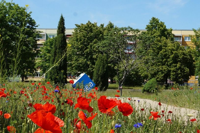 Im »Garten der Kinder« im Norden von Großräschen befindet sich einer von vielen »see-Würfeln« in der Seestadt Großräschen. Foto: Kati Kiesel/Stadt Großräschen