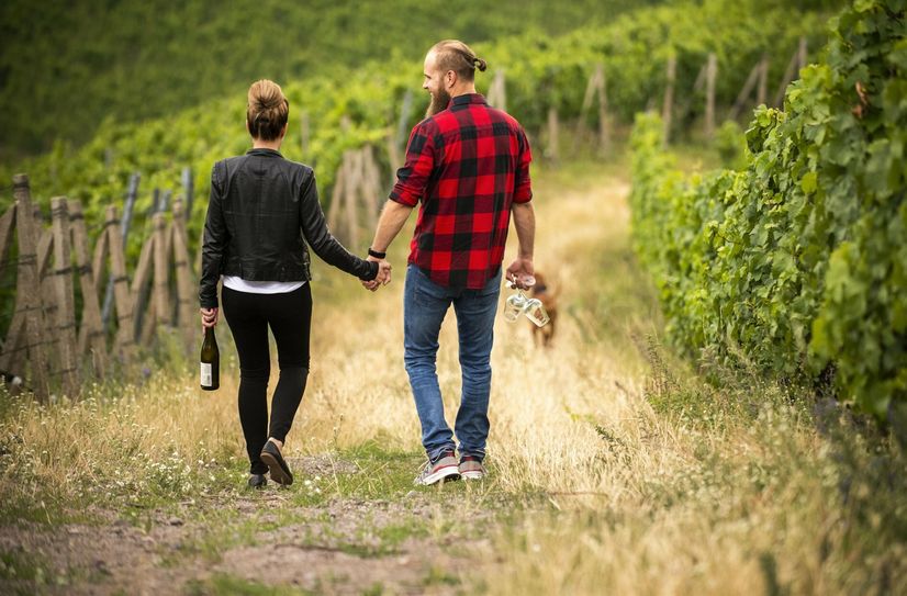 Der Klassiker »Meißner Weingeschichten lädt auch in die Weinberge ein.