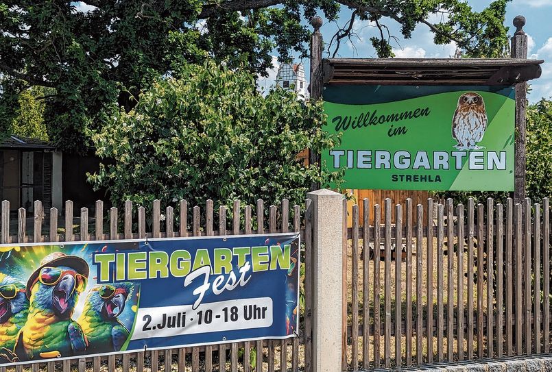 Strehla feiert am 2. Juli sein traditionelles Tiergartenfest.