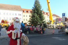Der Weihnachtsmann beaufsichtigt höchstselbst das Aufstellen des Weihnachtsbaumes in Radeberg.