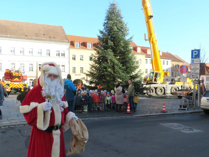 Der Weihnachtsmann beaufsichtigt höchstselbst das Aufstellen des Weihnachtsbaumes in Radeberg.