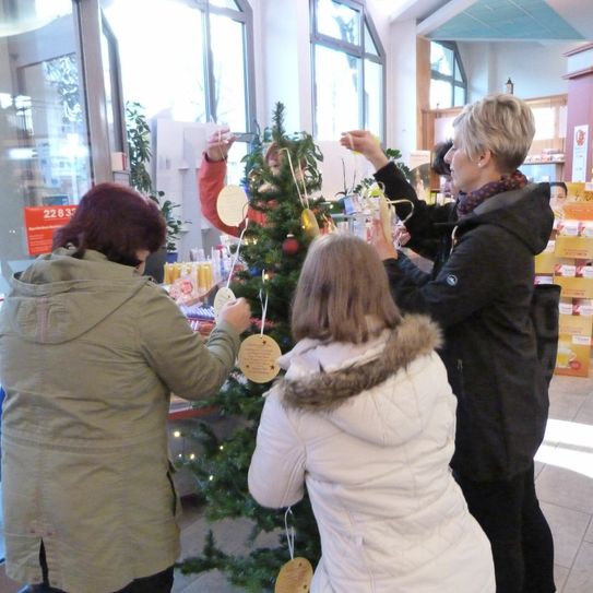 Wunschbaum in der Apotheke Cottbuser Straße. Fotos: Kathleen Hubrich, Projektbearbeiterin/DSK Deutsche Stadt- und Grundstücksentwicklungsgesellschaft mbH & Co. KG