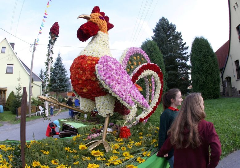 Das Lichtenhainer Blumenfest steigt dieses Wochenende. Foto: D. Förster