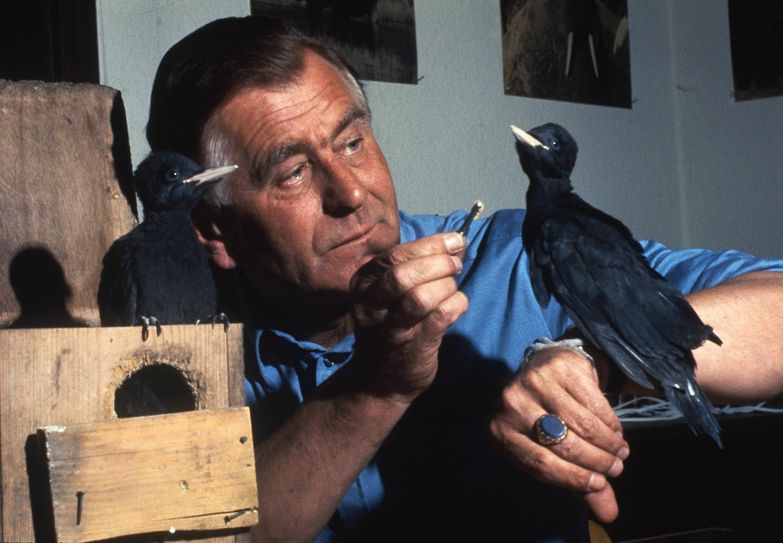 Heinz Sielmann mit Schwarzspecht. Foto: Sielmann Stiftung