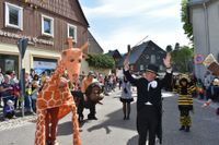 Eindrücke vom Umzug.