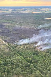 150 Hektar im südöstlichen Teil der Gohrischheide sind bisher verbrannt.