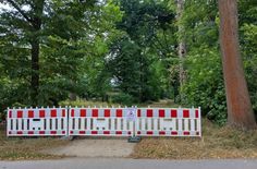 Besucher können einen Blick hinter die Sperrzäune werfen.