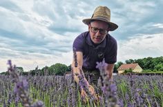 Landwirt und Genossenschaftsvorstand Andreas Graf auf seinem Lavendelfeld.