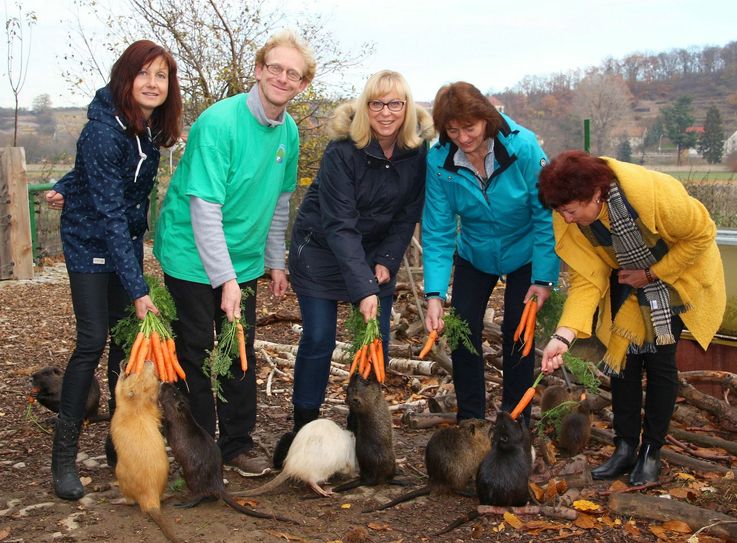 Das WochenKurier-Team aus Riesa besucht Sven Näther im Elbetierpark »Hebelei« und hilft gern bei der Nutria Fütterung.  Fotos: Farrar