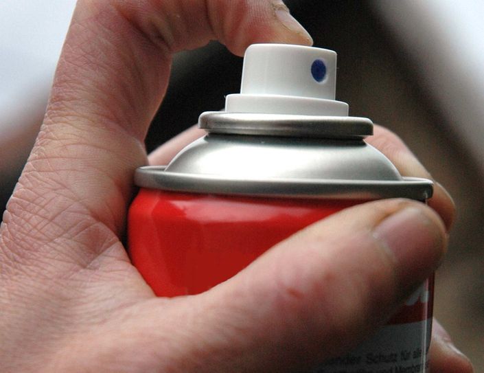 Die Sprayer haben mit Vorliebe Eisenbahn-Fahrzeuge beschmiert. Symbolfoto