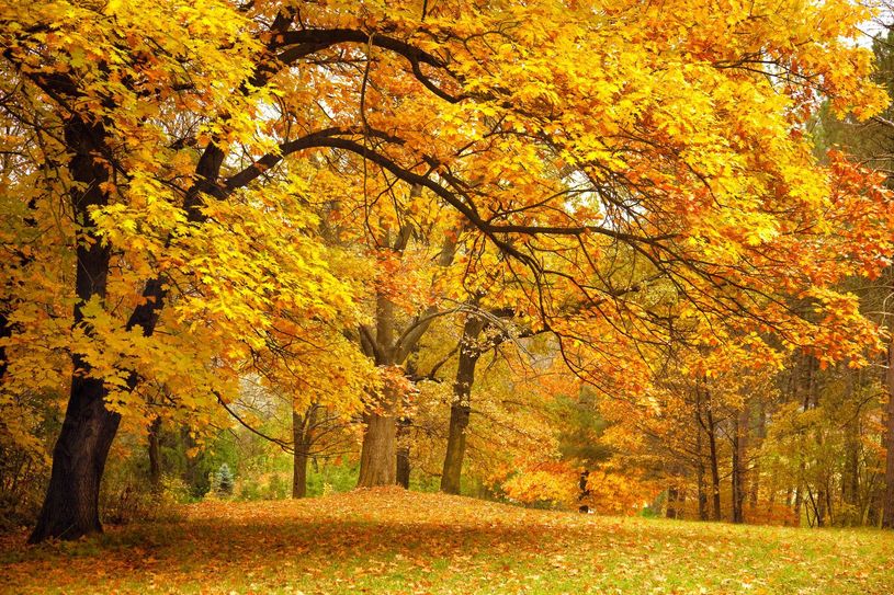 Symbolfoto: Taiga/Fotolia.com