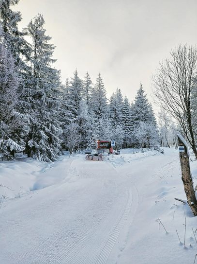 Rund 25 Zentimter Neuschnee hat Frau Holle am vergangenen Wochenende aus ihren Betten geschüttelt.