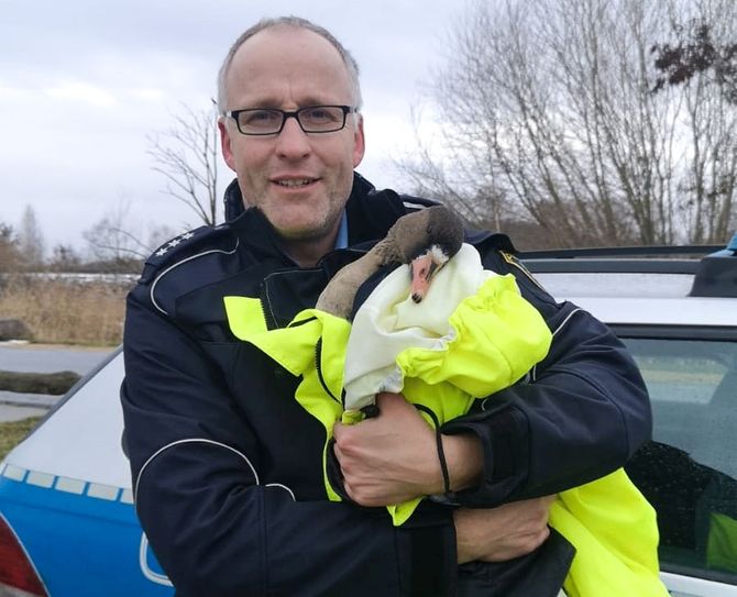 Polizeihauptkommissar Danilo Jander mit der aus dem Eis befreiten Wildgans. Foto: Polizei