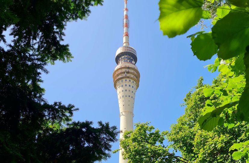 Bürgerbeteiligung zum Verkehrs- und Mobilitätskonzept "Fernsehturm Dresden"