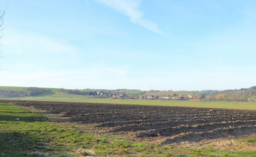 Unberührte Elbaue, Flutgebiet und die Spargelfelder in Nieschütz sollen - nach dem Wunsch der Gemeindeverwaltung - neuen Eigenheimen weichen. Foto: privat