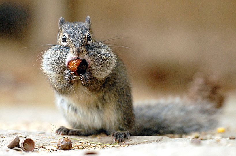 Foto: www.zoo-goerlitz.de, C. Hammer