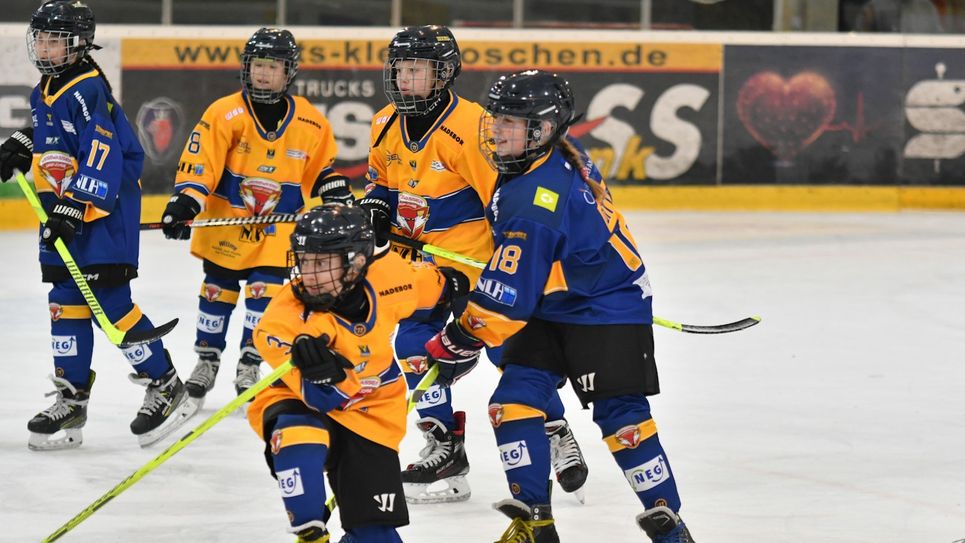 Die Lausitzer Jungfüchse  präsentierten sich mit einem eigenen Infostand in der Eisarena, an dem sich Eltern, Großeltern und natürlich Kinder über die vielfältigen sportlichen Möglichkeiten beim Eissport Weißwasser e.V. informieren konnten.