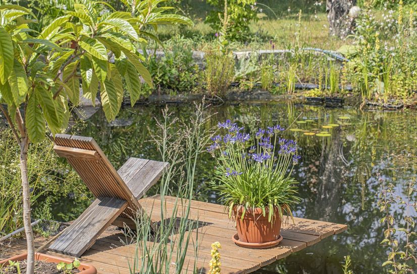 Ein Gartenteich bietet vielen Tieren Tränke und Badestelle, Jagdrevier und Kinderstube.