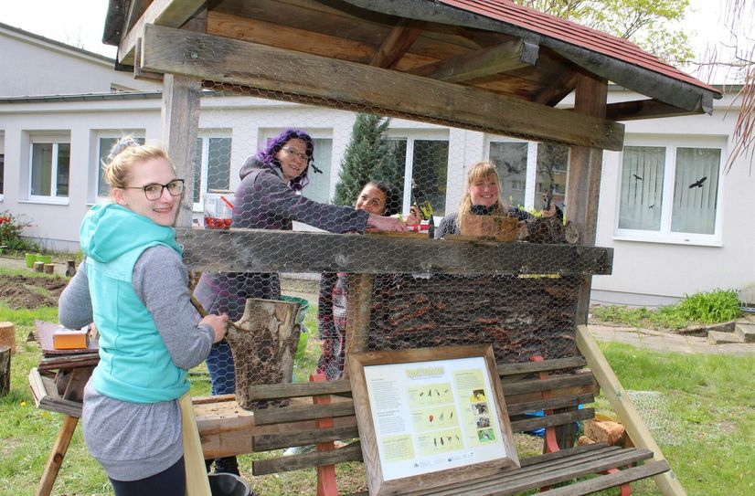 Die Schüler der BMS-Schule haben Spaß daran, im neuen Schulgarten zu werkeln. Hier wird am Insektenhotel gebaut.