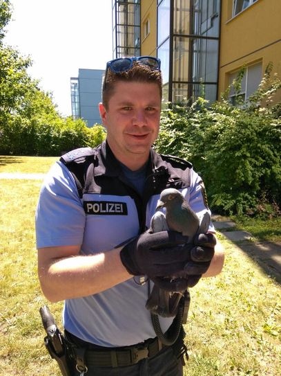 Foto: polizei