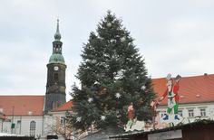 Baum auf dem Großenhainer Weihnachtsmarkt wird gesucht.