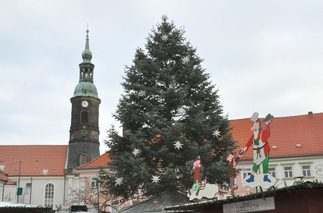 Baum für den Großenhainer Weihnachtsmarkt wird gesucht. Foto: Farrar