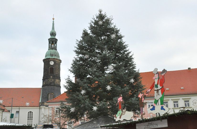 Baum auf dem Großenhainer Weihnachtsmarkt wird gesucht.