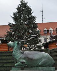 Hauptmarkt Großenhain