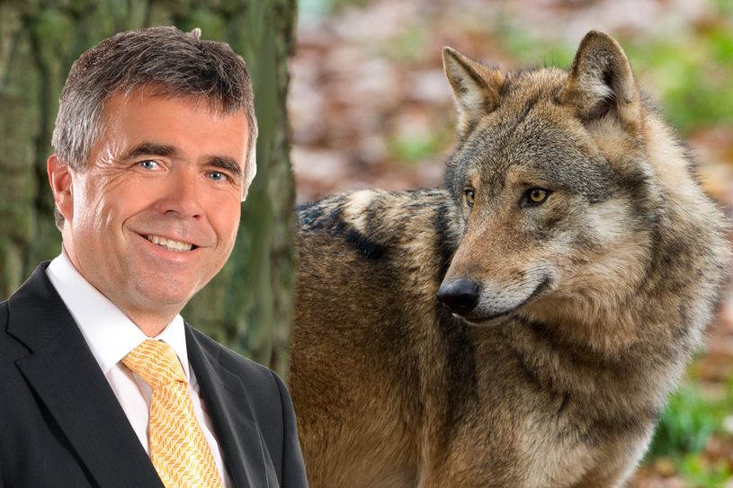 F.: Ralph Frank, LRA, Montage