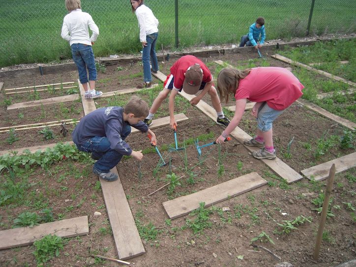 Die Anlage von Schulgärten, in denen die Kinder selber anbauen und ihre Pflanzen wachsen sehen, gehört zu den zentralen Merkmalen von Montessori-Schulen.                                                                         Foto: pixabay