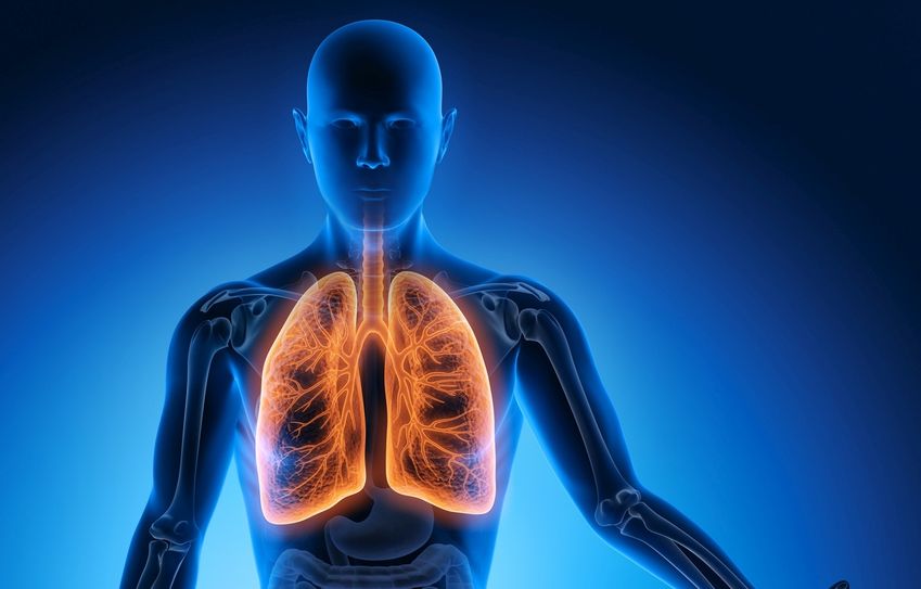Die Infektionskrankheit Tuberkulose befällt in den meisten Fällen die Lunge. Foto: fotolia