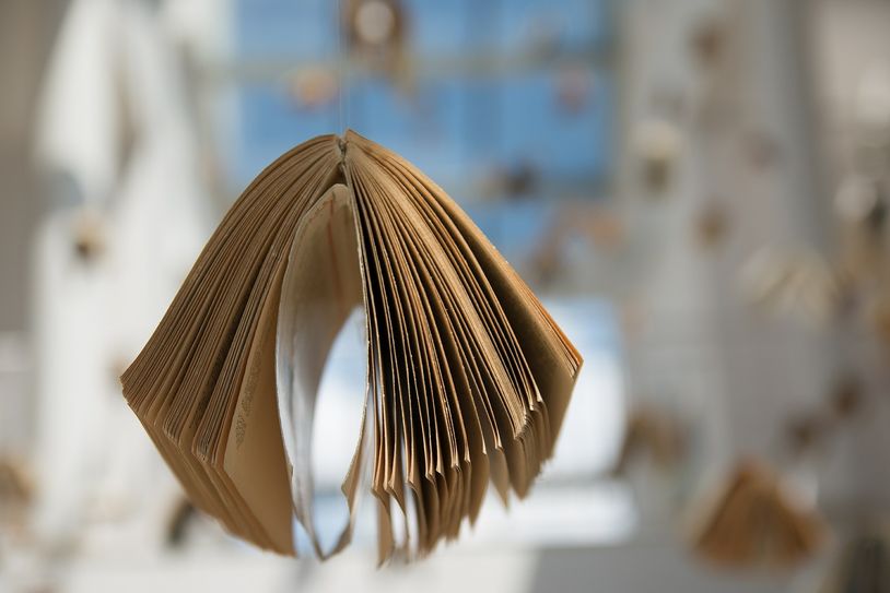 Die Macher des Literaturfestes lassen Bücher »Lieber fliegen als kriechen«         Foto: jarmoluk/ Pexels.com