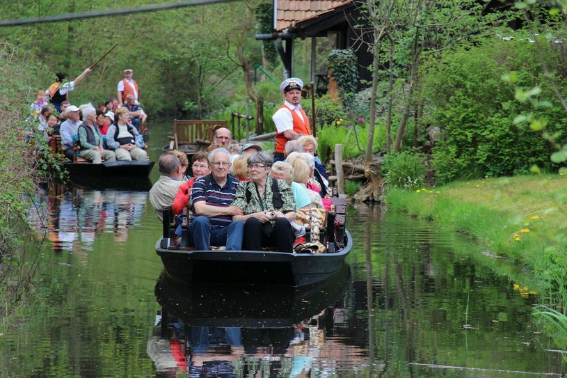 Der Spreewald ist berühmt für seine Kahnfahrten. Foto: Archiv/sts