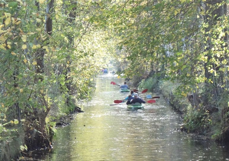 Das schöne Herbstwetter sorgte 2022 nicht nur für gute Übernachtungszahlen. Auch Aktivangebote, wie das Paddeln auf den Spreewaldfließen, wurden gern genutzt.