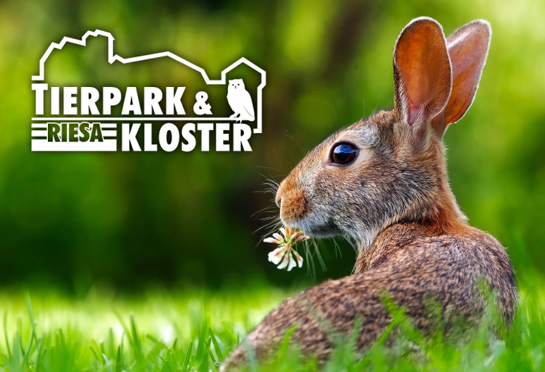 Auch die Tiere im Tierpark scheinen schon neugierig auf die Oster-Aktionen.