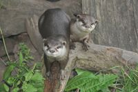 Auch die Tiere im Tierpark scheinen schon neugierig auf die Oster-Aktionen.