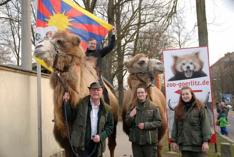 Tibet-Flagge hissen mit Dr. Wieler, Bürgermeister der Stadt Görlitz und Dr. Hammer Direktor des Naturschutz-Tierpark Görlitz-Zgorzelec. Foto: zoo-goerlitz.de, Catrin Hammer