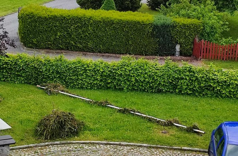 Unbekannte haben den Maibaum an der Kita umgeworfen.